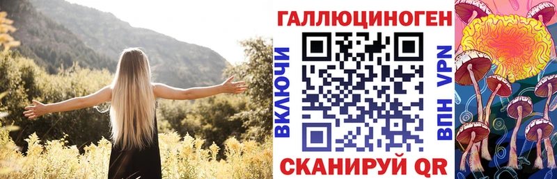 Галлюциногенные грибы Psilocybe Ростов